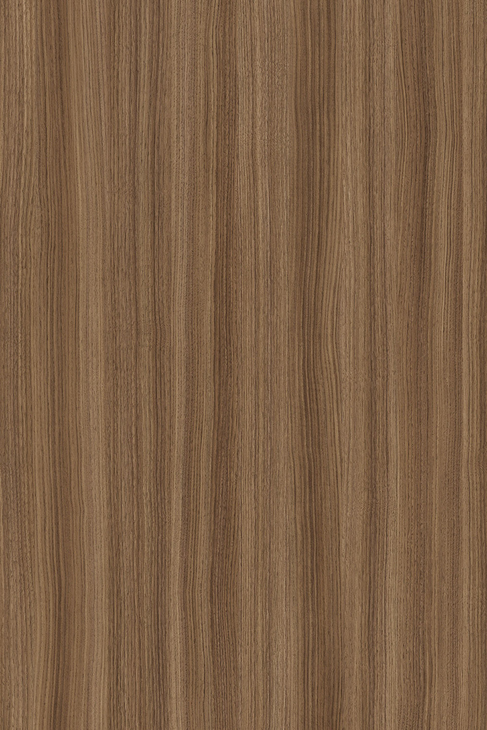 LTD Caramel Franklin Walnut K546 RW 2800 x 2070 x 18mm