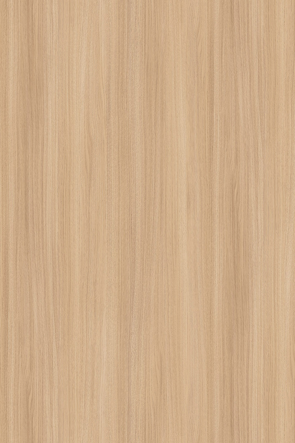 LTD Sand Barbera Oak K543 SN 2800 x 2070 x 18mm