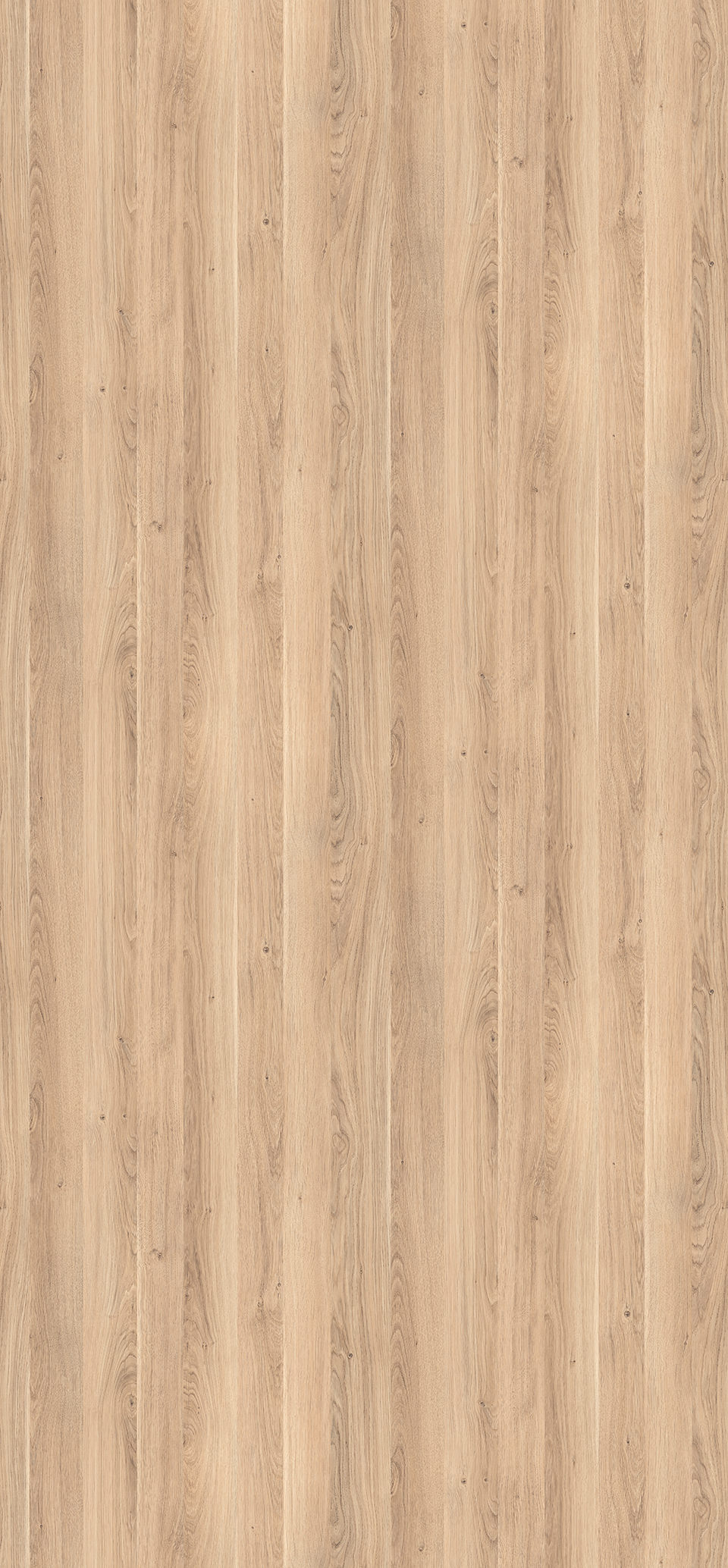 Perfect Sense Dub Cuneo bělený H3311 TM28/ST28 2800 x 2070 x 18mm