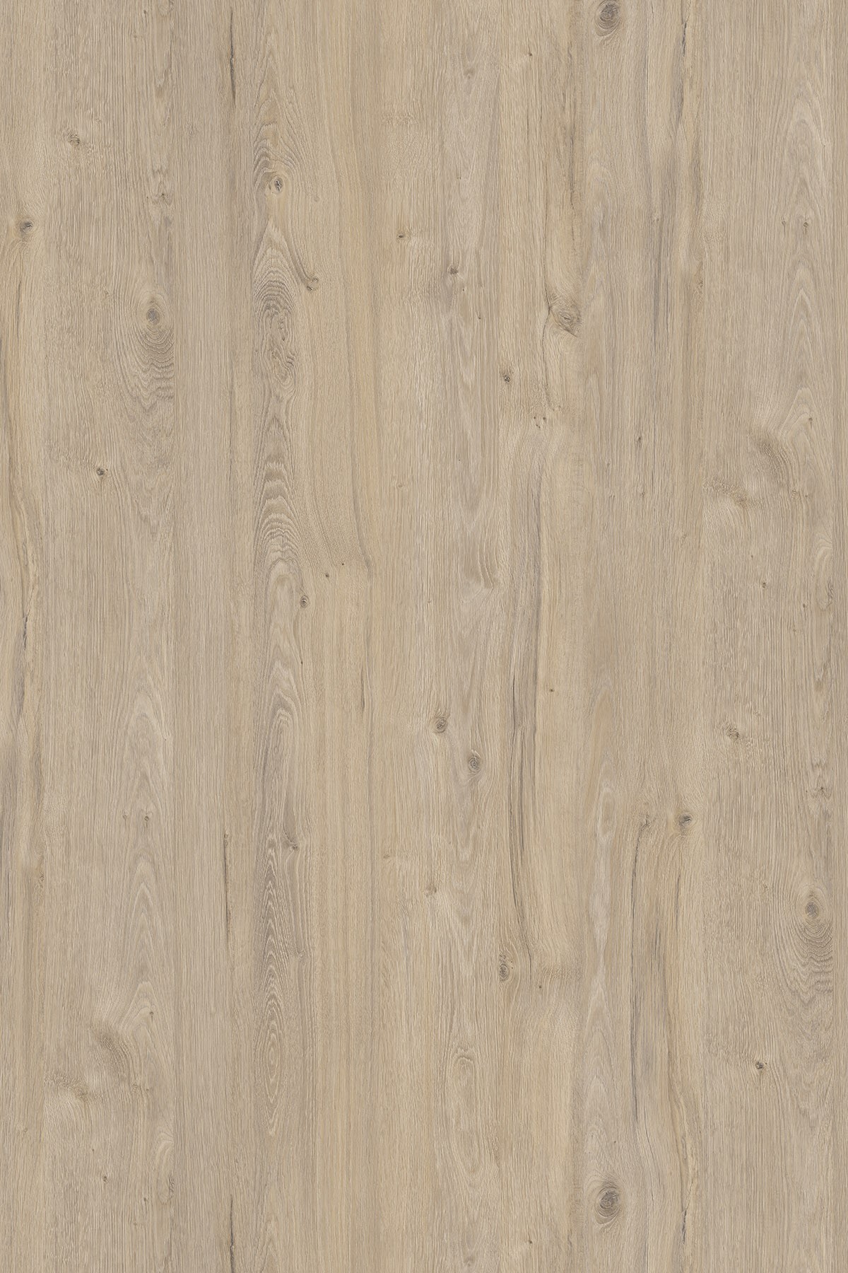 LTD Satin Coastland Oak K081 PW 2800 x 2070 x 18mm