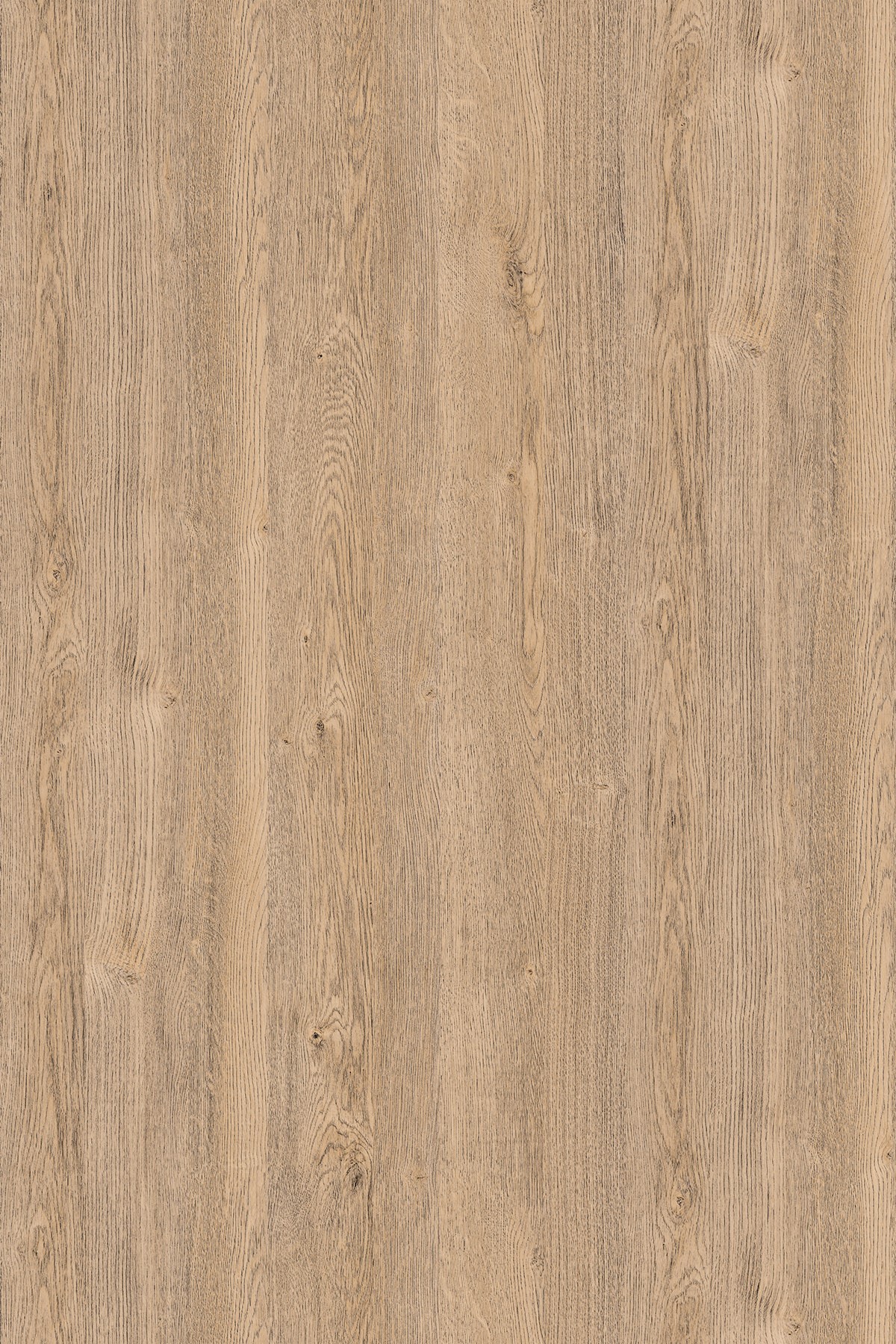 LTD Sand Expressive Oak K076 PW 2800 x 2070 x 18mm