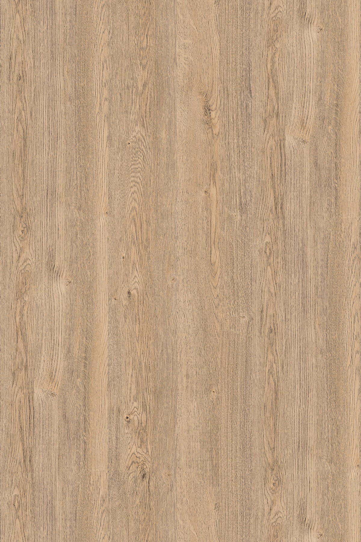 LTD Sand Expressive Oak K076 PW 2800 x 2070 x 18mm