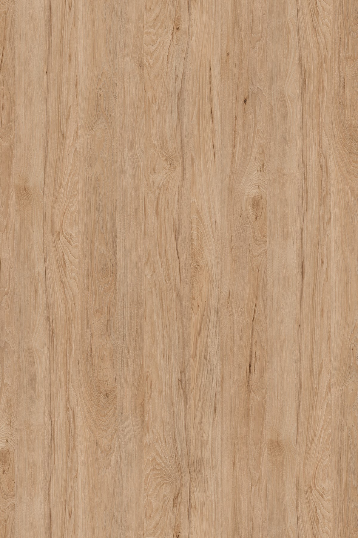 LTD Natural Rockford Hickory K086 PW 2800 x 2070 x 18mm