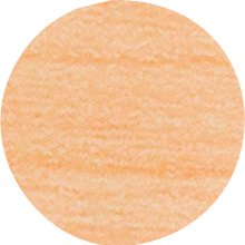 IF Krytka nalepovací 13mm 20ks 260 bříza/javor