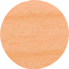 IF Krytka nalepovací 13mm 20ks 168 jasan