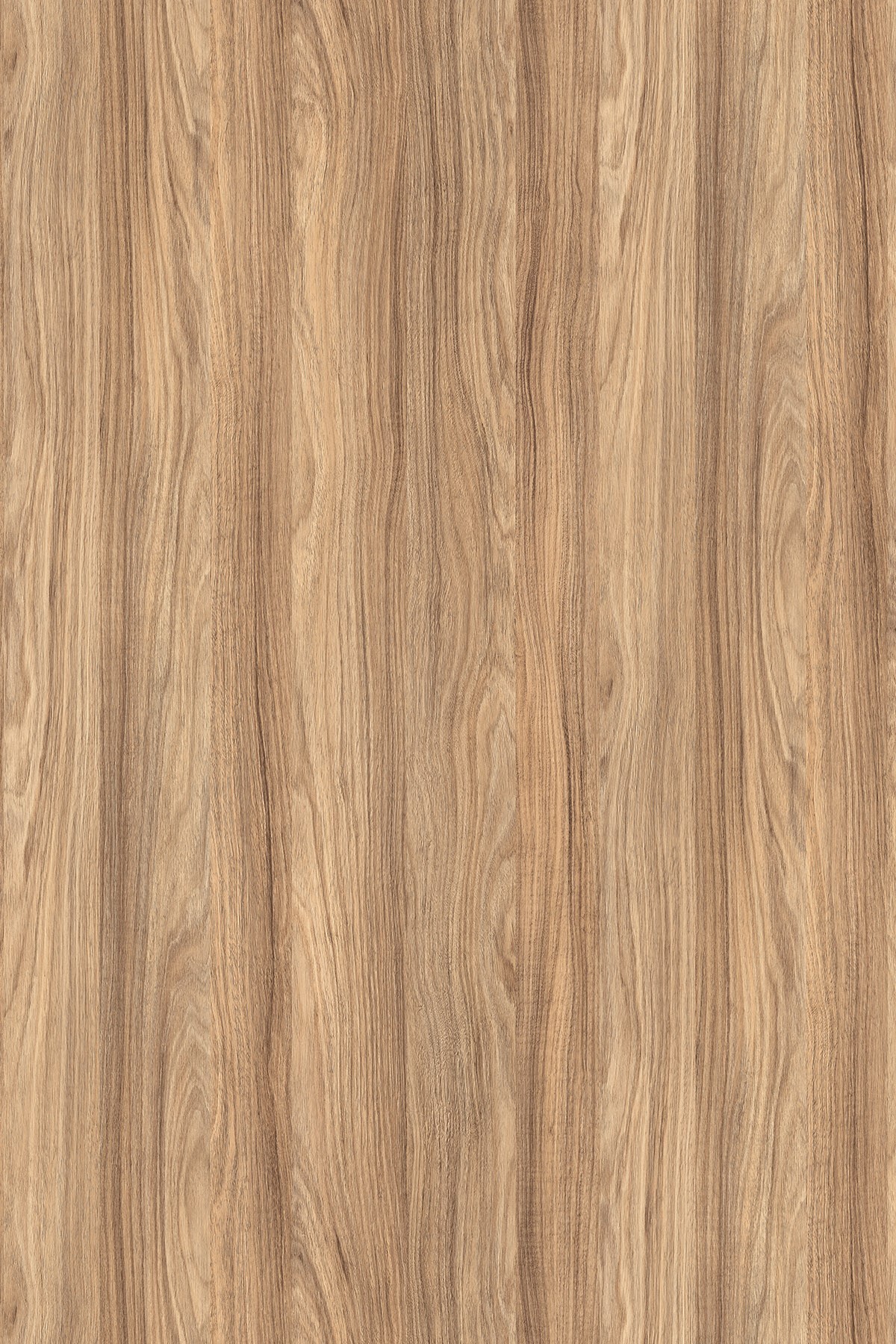 LTD Barley Blackwood K021 SN 2800 x 2070 x 18mm