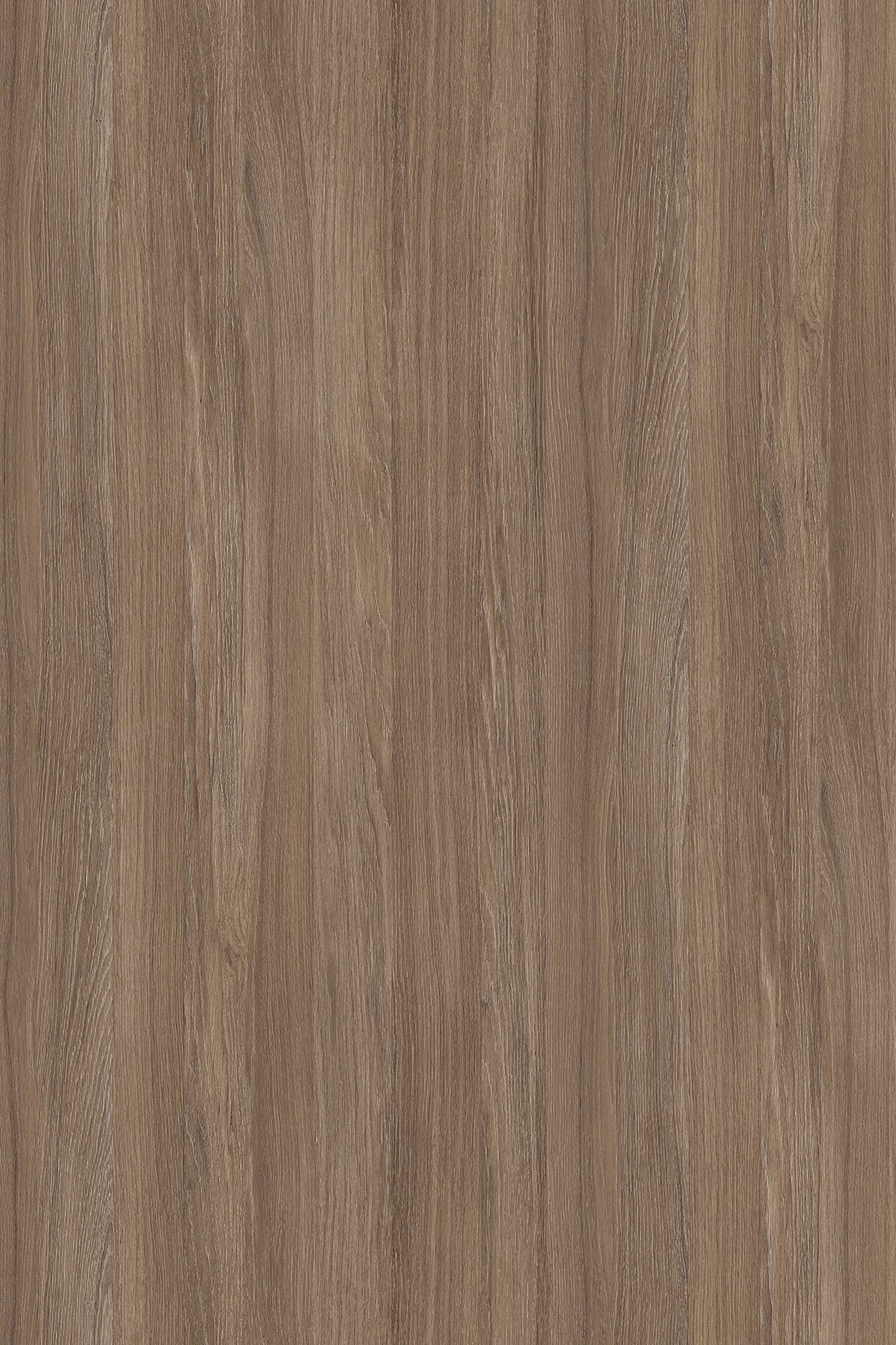 LTD Cofee Urban Oak K007 PW 2800 x 2070 x 18mm