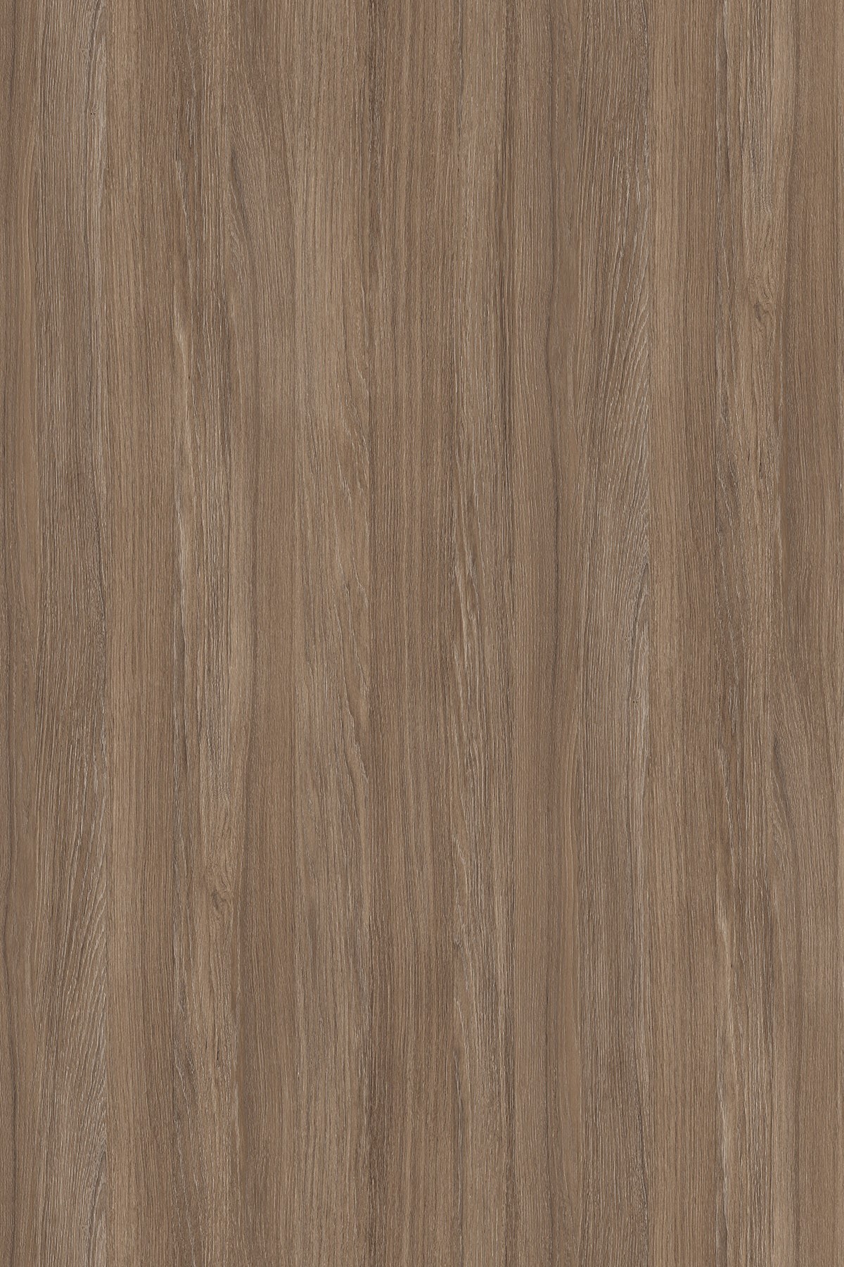LTD Cofee Urban Oak K007 PW 2800 x 2070 x 18mm