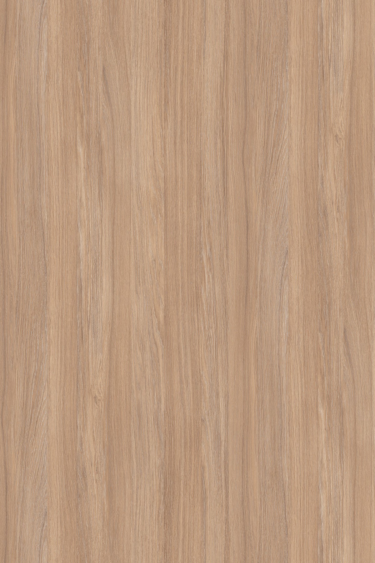 LTD Amber Urban Oak K006 PW 2800 x 2070 x 18mm