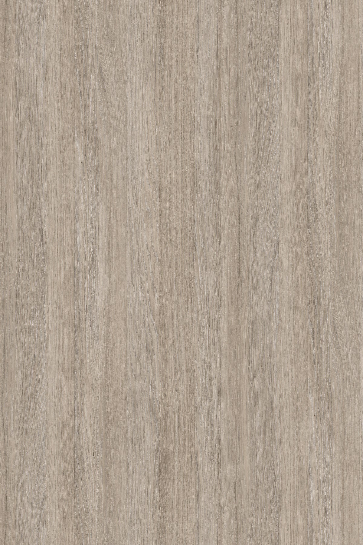 LTD Oyster Urban Oak K005 PW 2800 x 2070 x 18mm