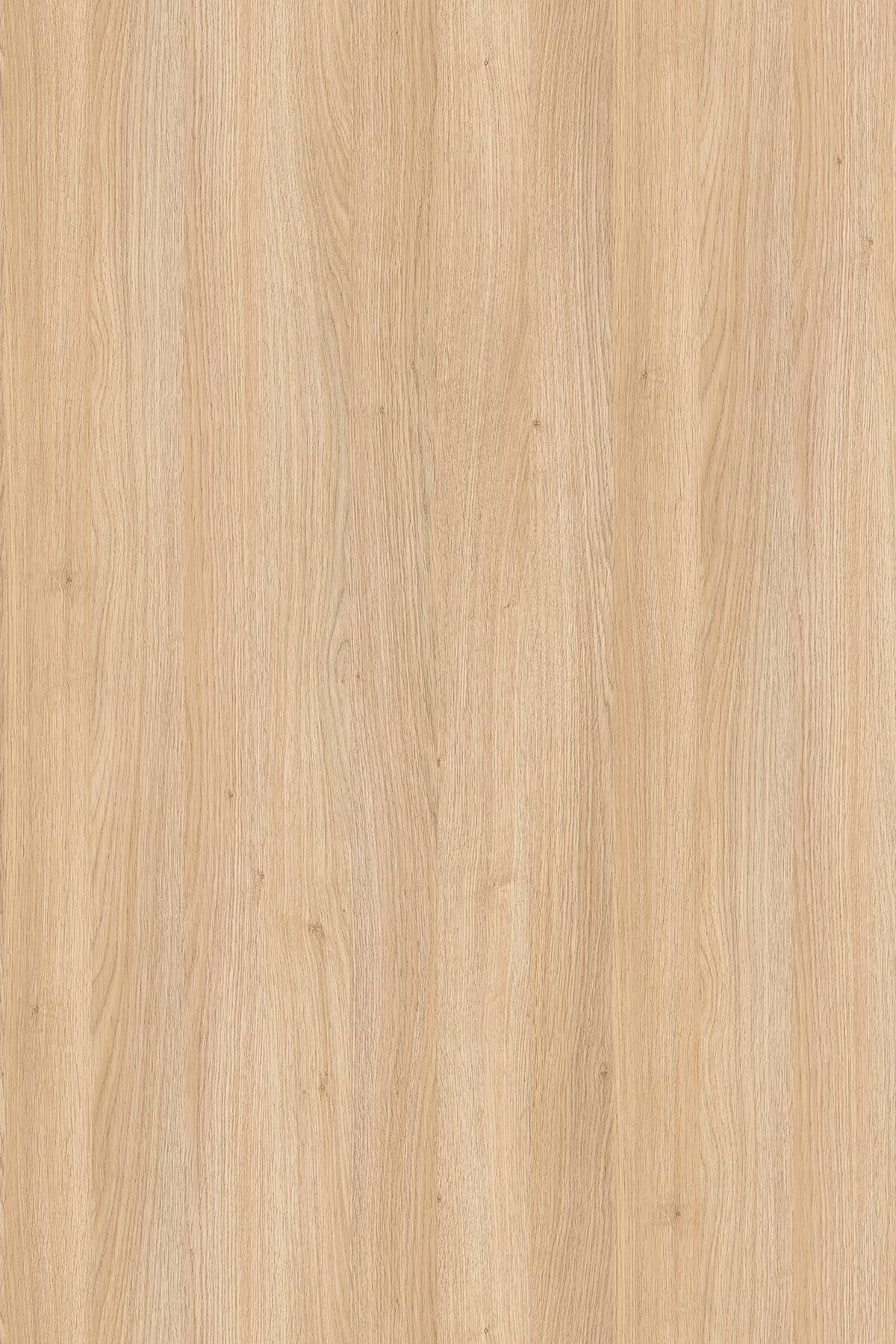 LTD Nagano Oak 8431 SN 2800 x 2070 x 18mm