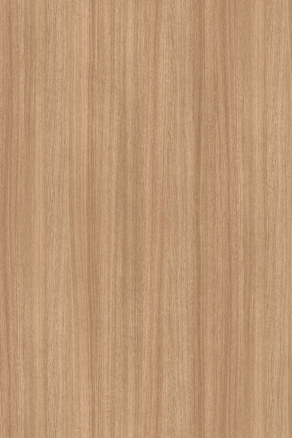 LTD Slavonia Oak 5501 SN 2800 x 2070 x 18mm