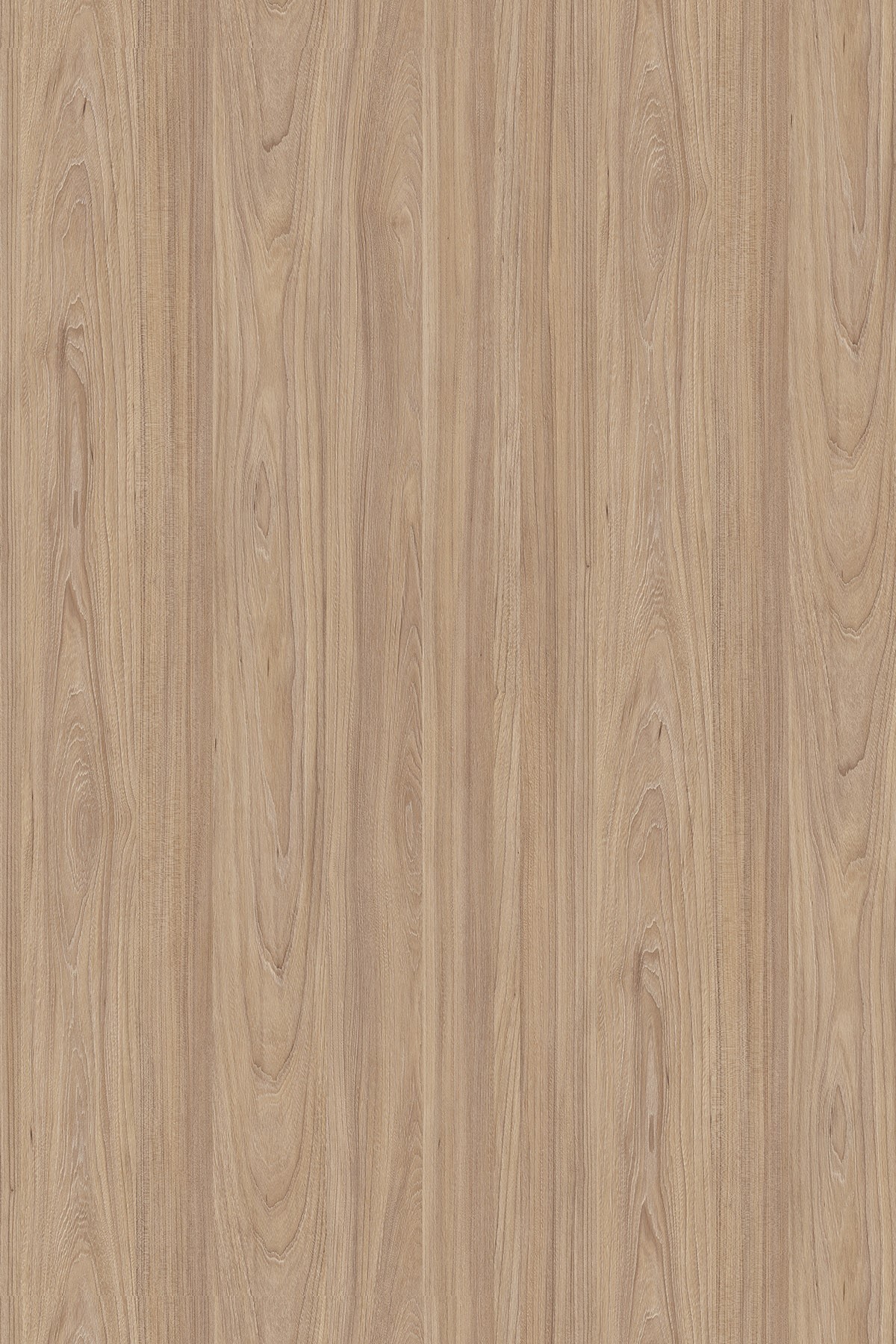 LTD Natural Noble Elm 5500 SU 2800 x 2070 x 18mm