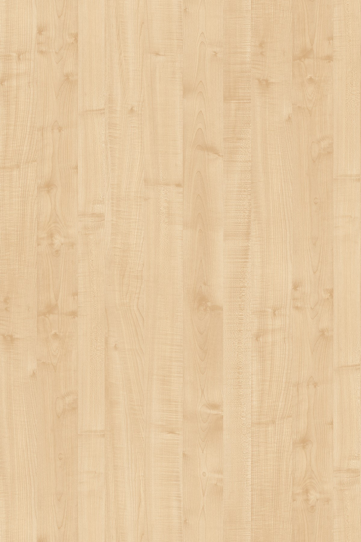 LTD Maple-javor 375 BS 2800 x 2070 x 25mm