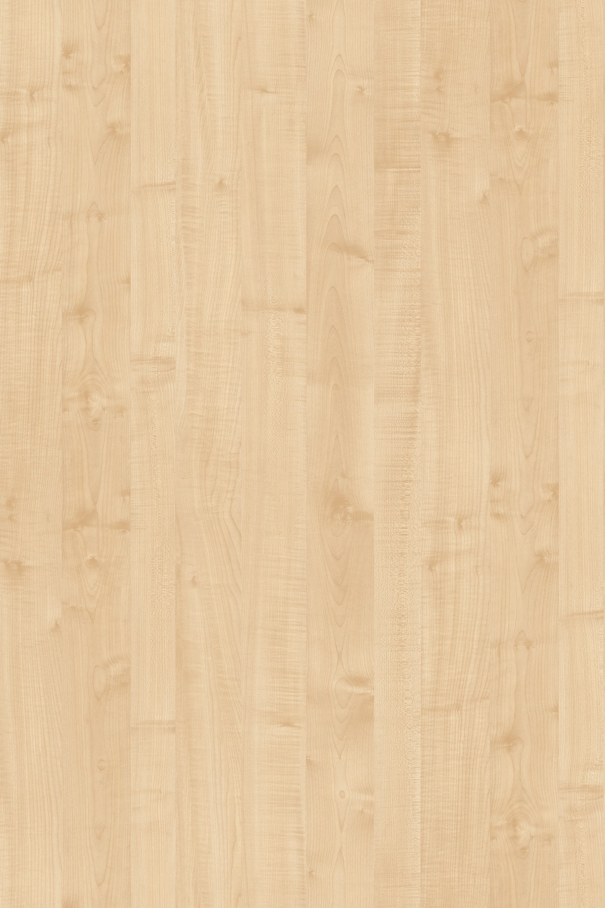 LTD javor 375 BS 2800 x 2070 x 25mm