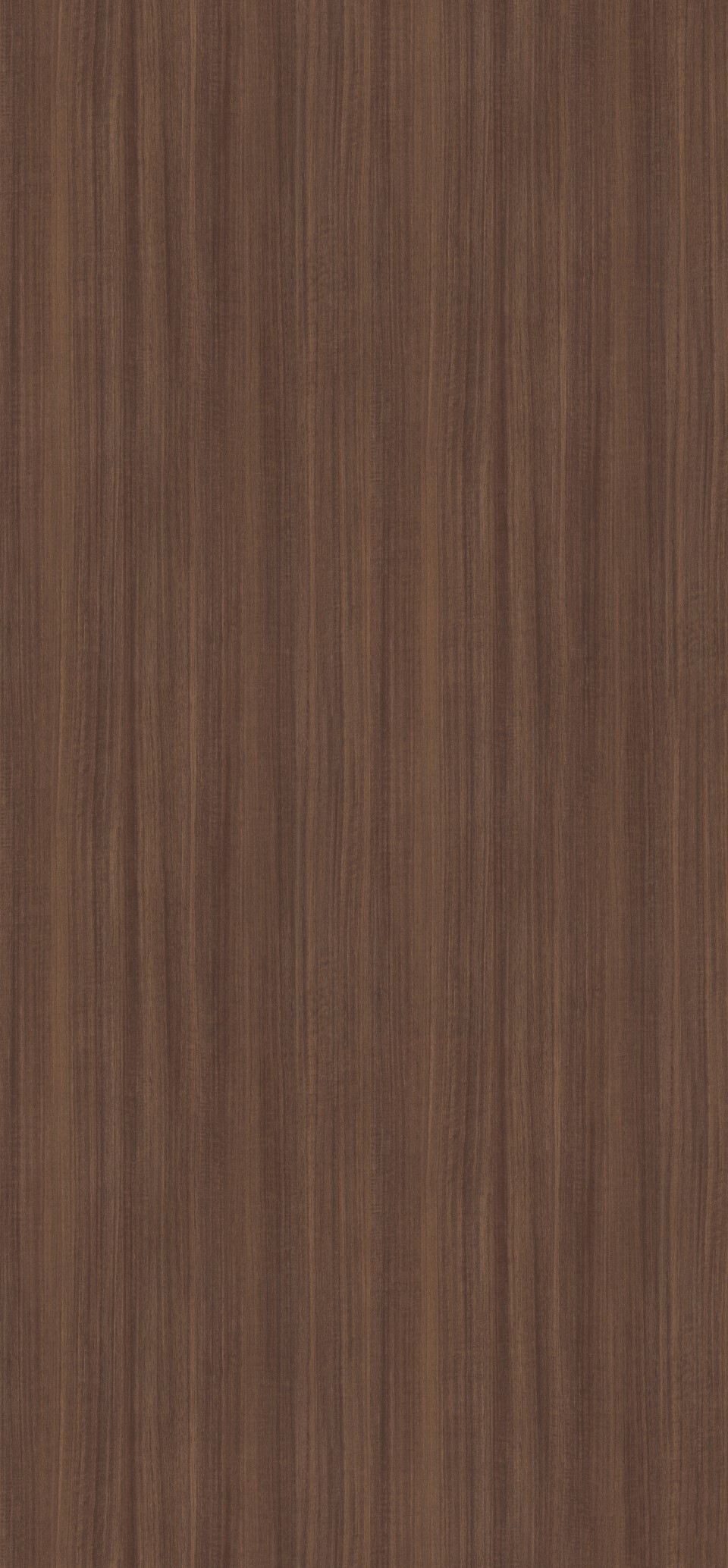PerfectSense DTD Eukalyptus přírodní H3041 TM12/ST12 2800 x 2070 x 19mm
