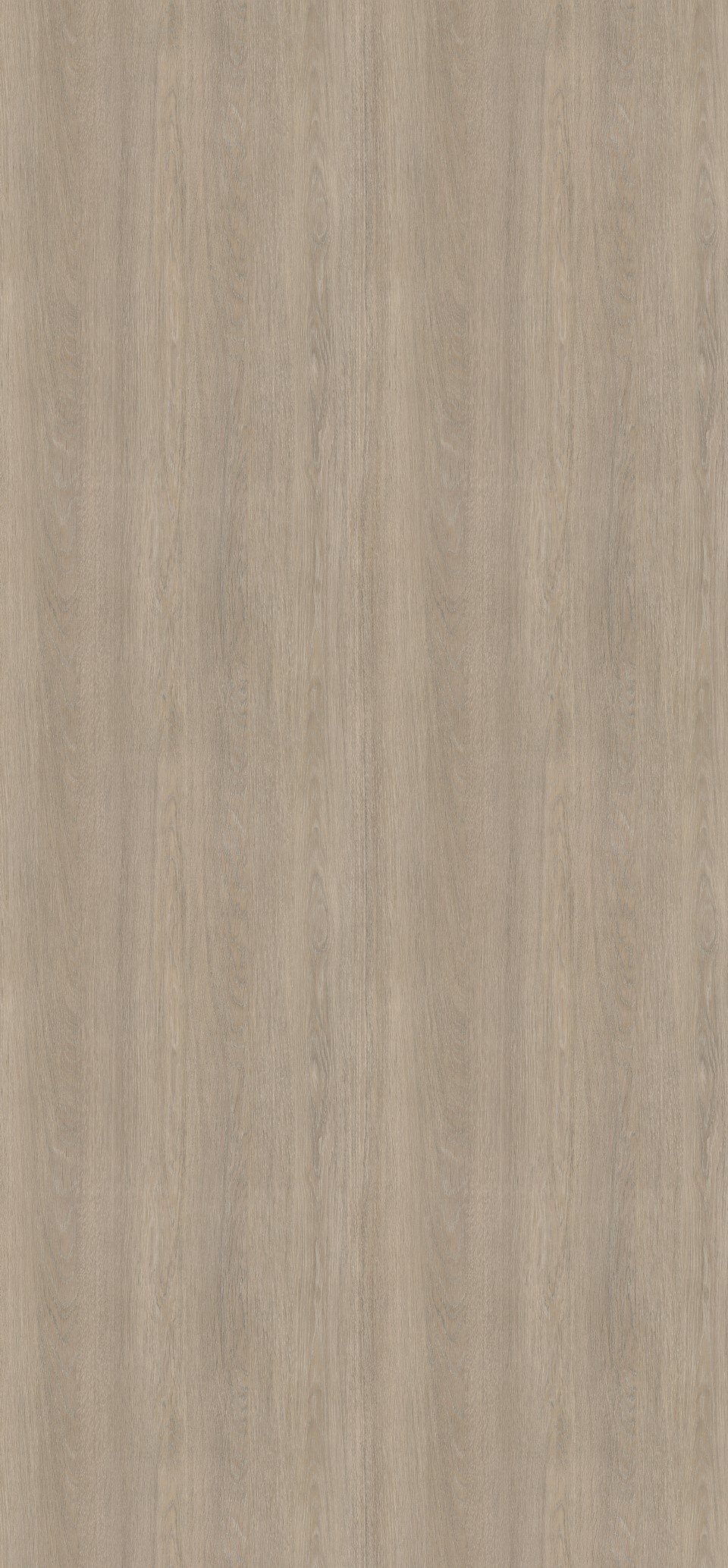Laminát dub lorenzo béžovošedý H3146 ST19 2800 x 1310 x 0,8mm