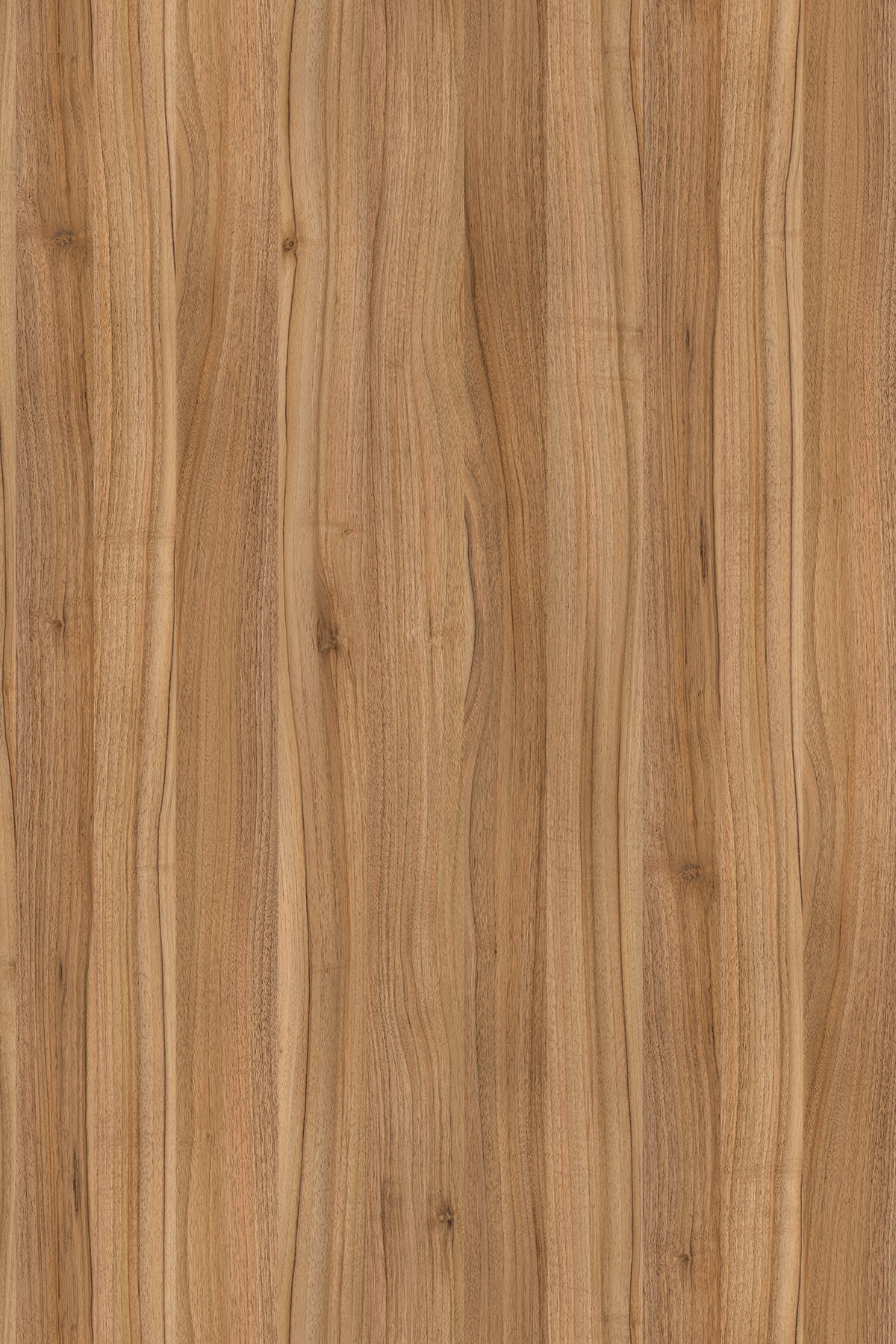 LTD Light Lyon Walnut 9614 BS 2800 x 2070 x 18mm