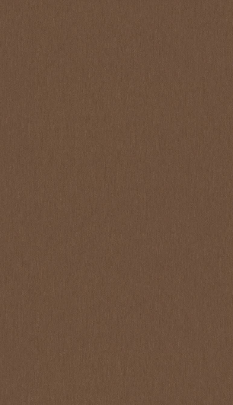 LTD kov kartáčovaný bronzový F528 ST20 2800 x 2070 x 18mm